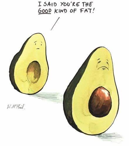 Obrázek č. 6 Avokáda