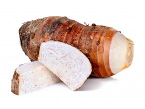 Obrázek č. 8 Kořen taro